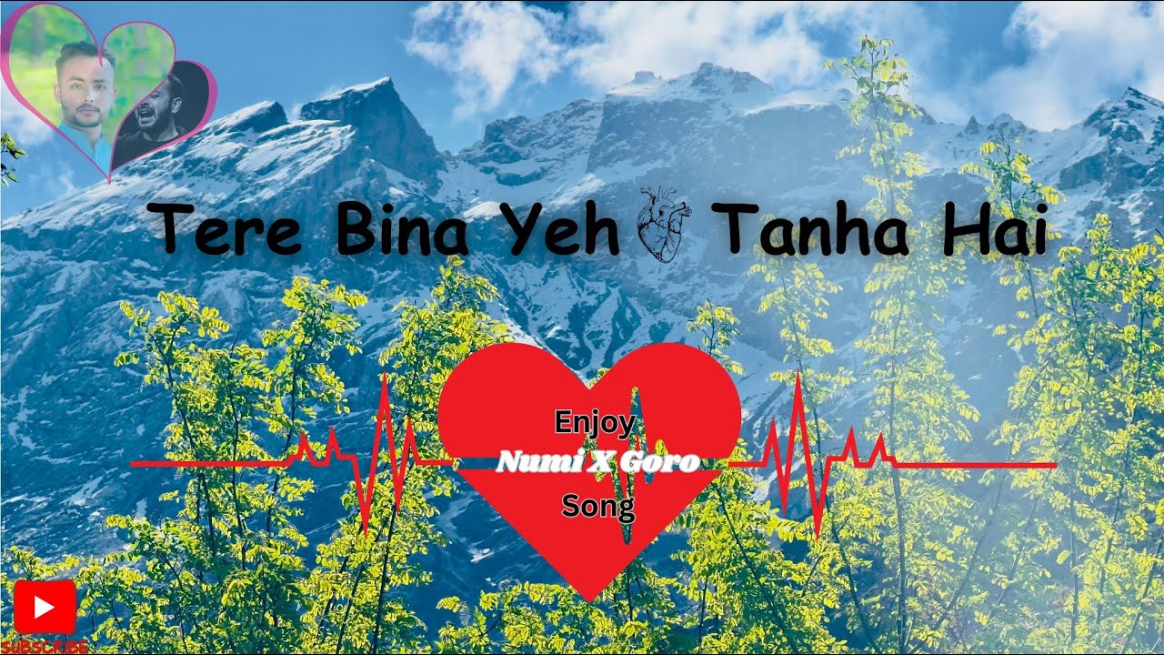 Tere Bina Yeh Dil Tanha hain Heart Touching Song ( New Hindi Song 2025 )