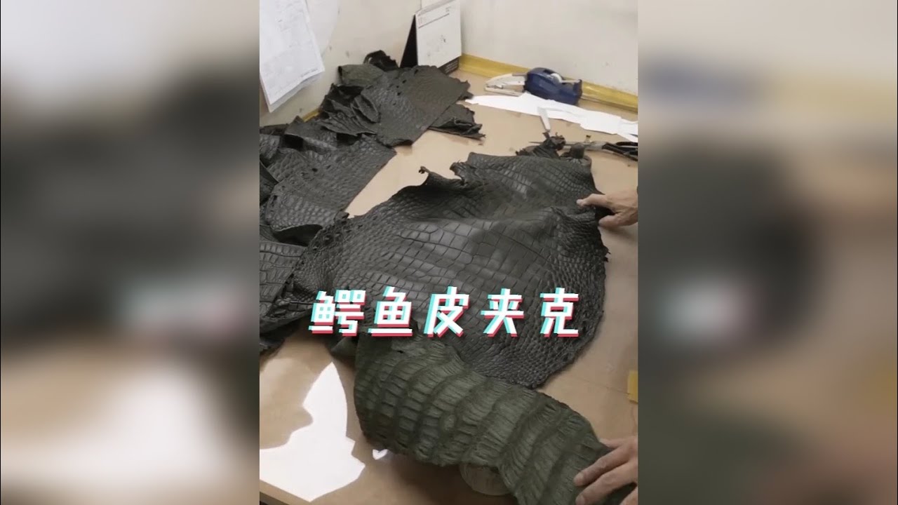 可穿数十年的鳄鱼皮夹克是如何制作的？