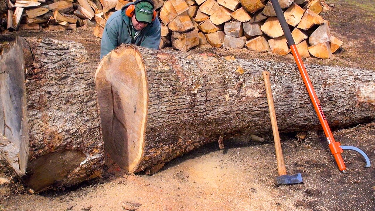 WOOD CUTTING - CUTTIN' MORE BIG WOOD (Poorly)