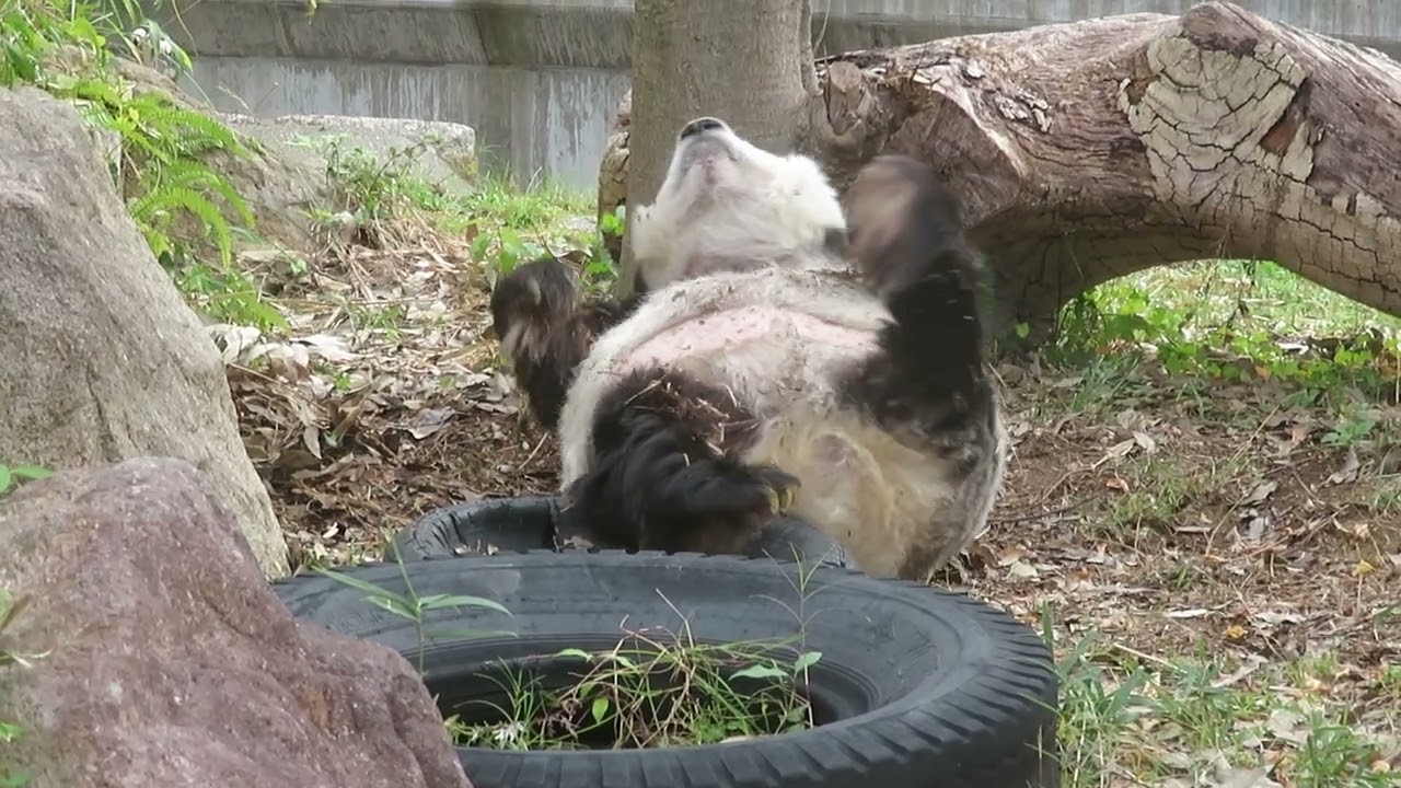 もうそろそろ土遊びもいいのでは