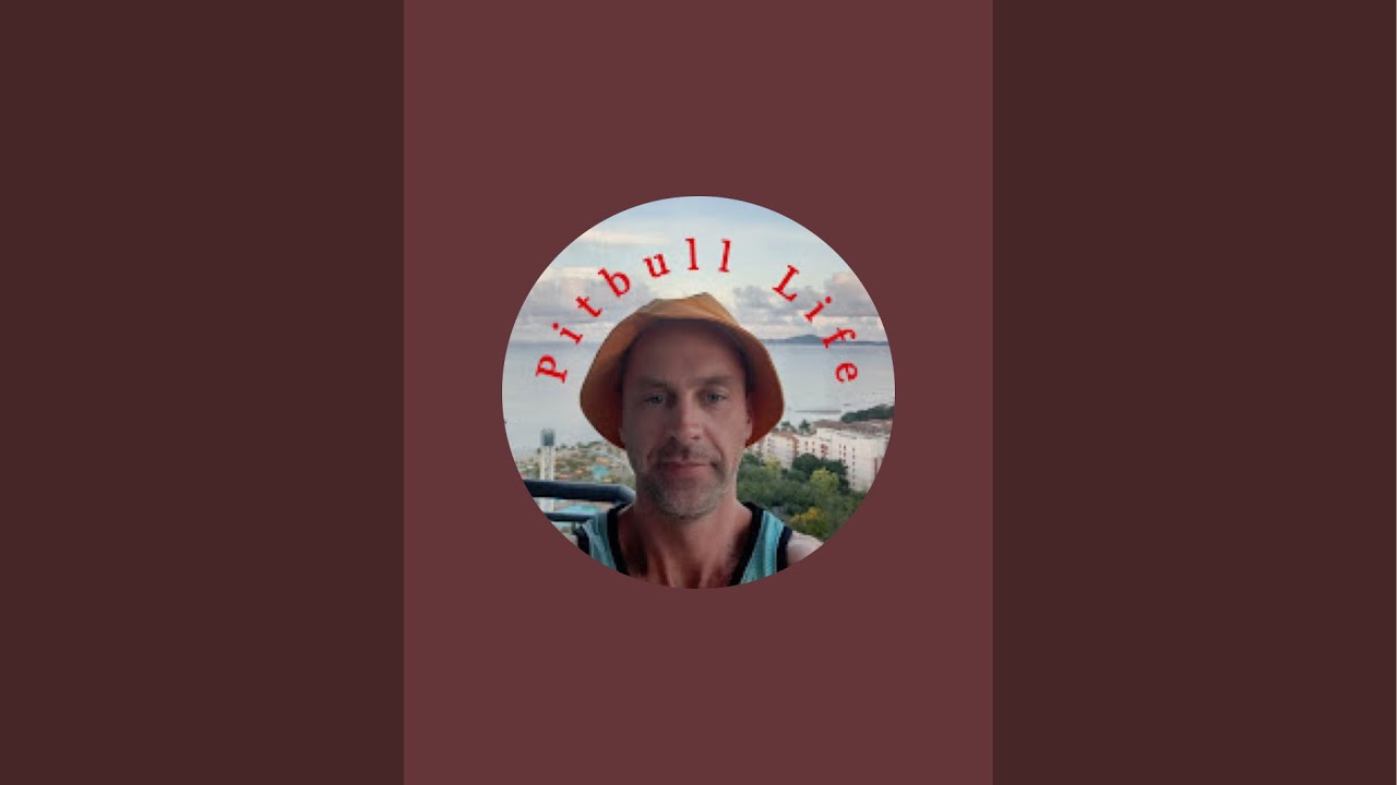 Pitbull_Life в прямом эфире!