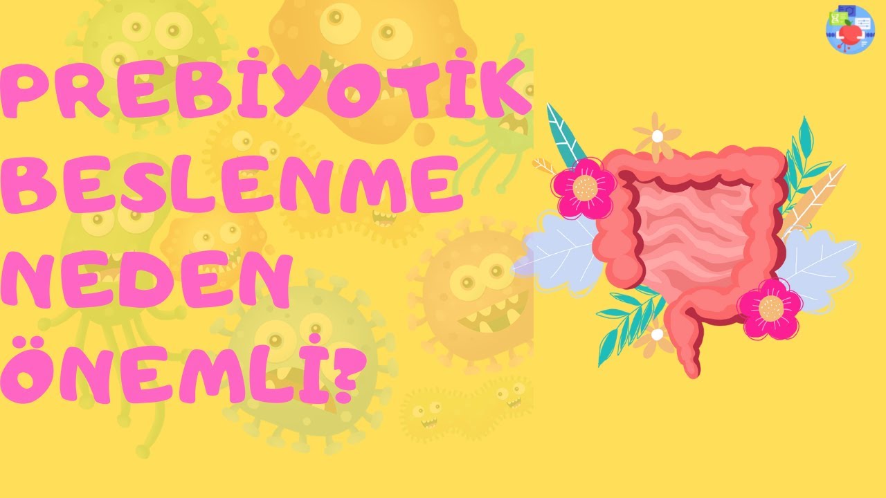 BAĞIRSAK SAĞLIĞI NEDEN BU KADAR ÖNEMLİ| PREBİYOTİK BESLENME NASIL OLUR?