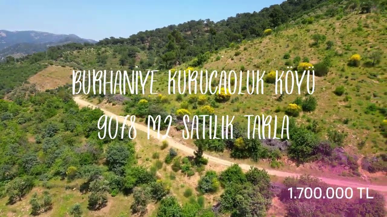 Bu fiyata!! Balıkesir Burhaniye Kurucaoluk'ta 9078 m2 Satılık Tarla