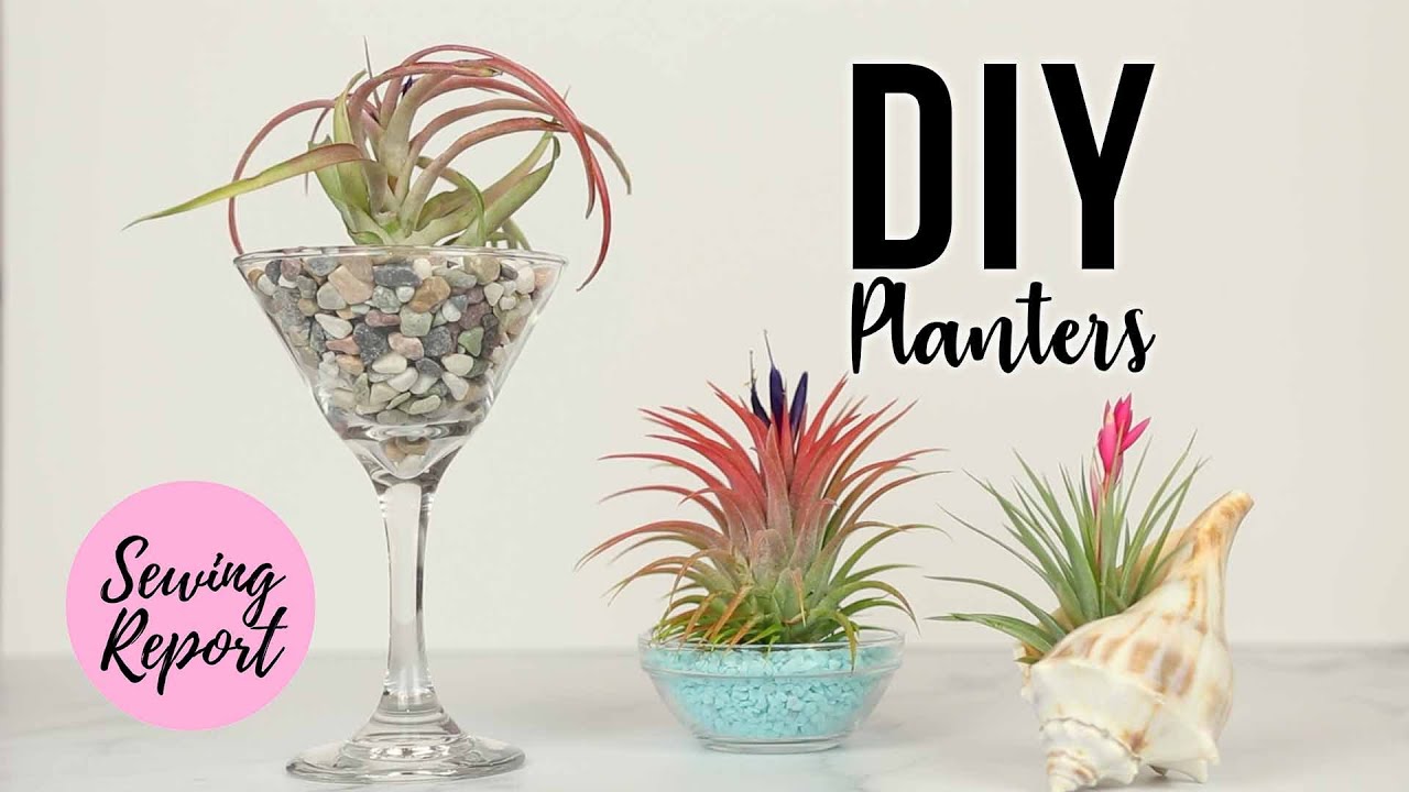 DIY Planters for Air Plants 🌱 Dollar Store Decor | SEWING REPORT