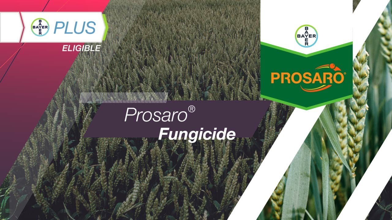 Prosaro® Fungicide