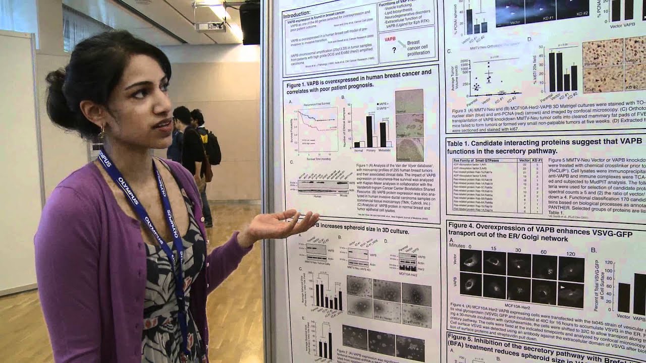 Research on display - poster sessions at The EMBO Meeting