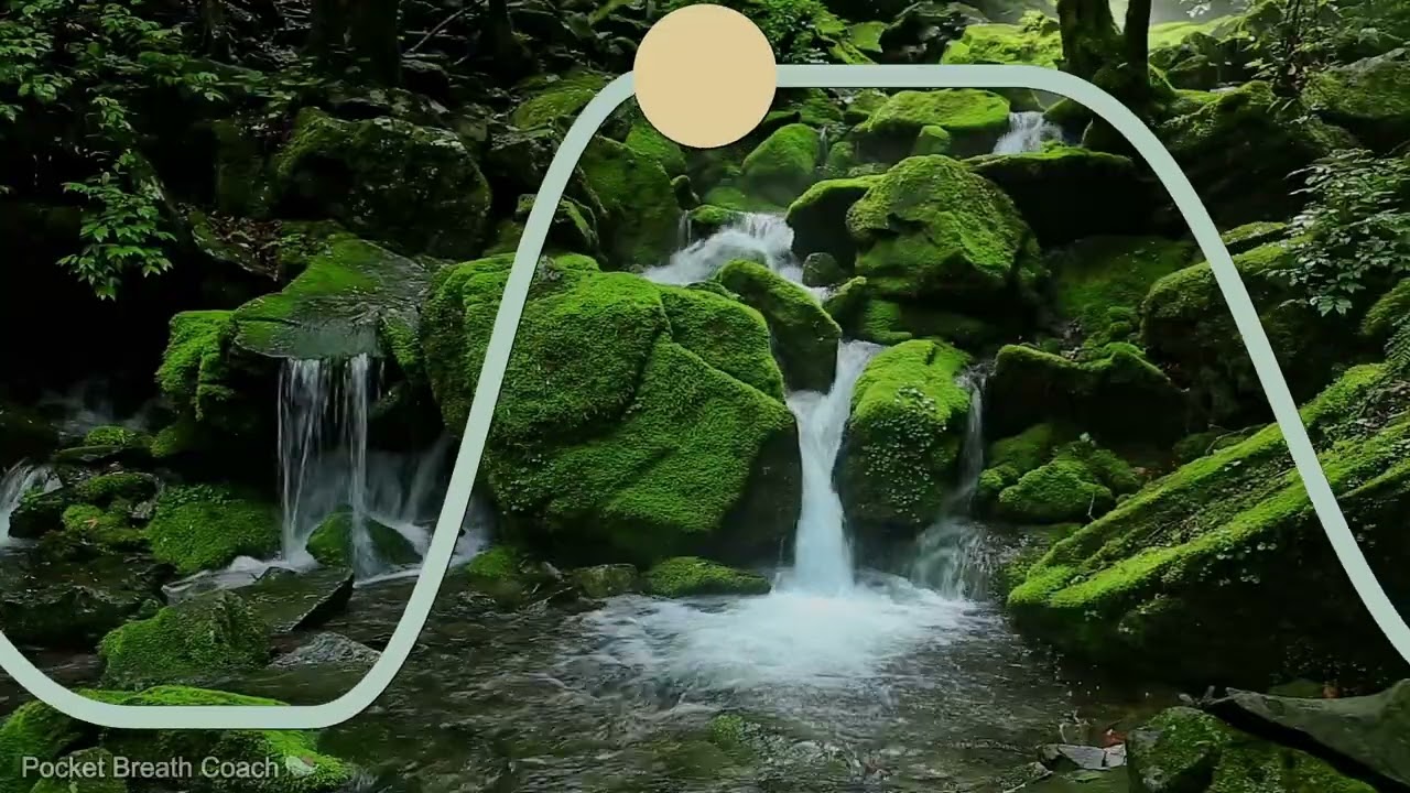 Parasympathetic Breathing Exercise | 4-4-6-2 | Calm Your Nervous System