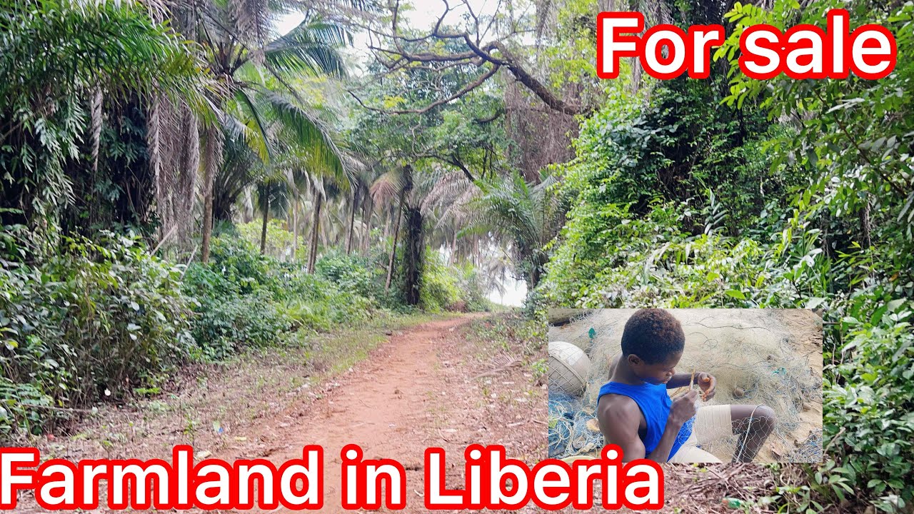 Farm land for sale in Liberia Grand bassa county + all you need to know about fishing in Liberia