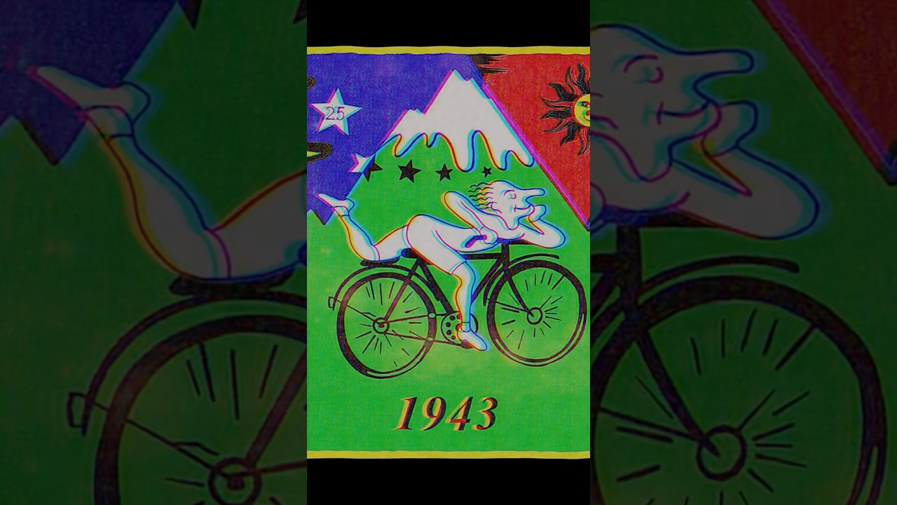 Back to the Beat – Inner Flash | LSD-Trip im Zoo 🐘⚡