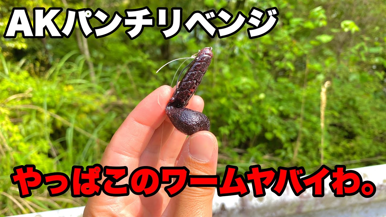 【AKパンチ】皆さんのアドバイスを聞いてリベンジしてきました。