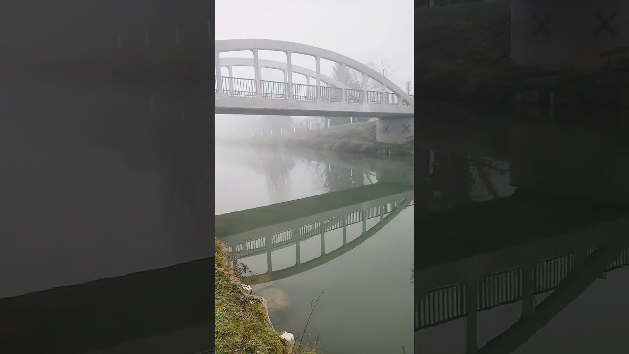 Vue a 50 m&egrave;tres maxi #fypyoutube #fishing #pechemouche #foryou #nature #carp #pecheur