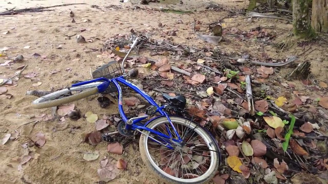 Bicycle ride to Playa Bluff, Bocas del Toro, Panama　自転車でプラヤ・ブラフへ、ボカス・デル・トロ、パナマ