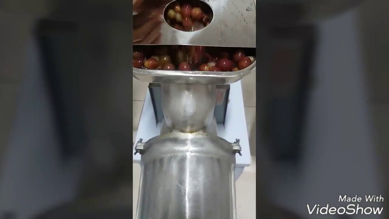 Passo a Passo , Como Fabricar Polpa de Frutas