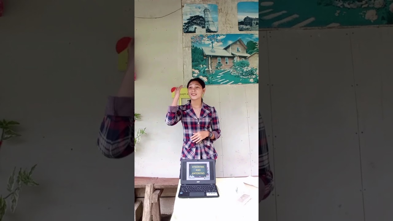 Teaching Demonstration (Synonyms and Antonyms