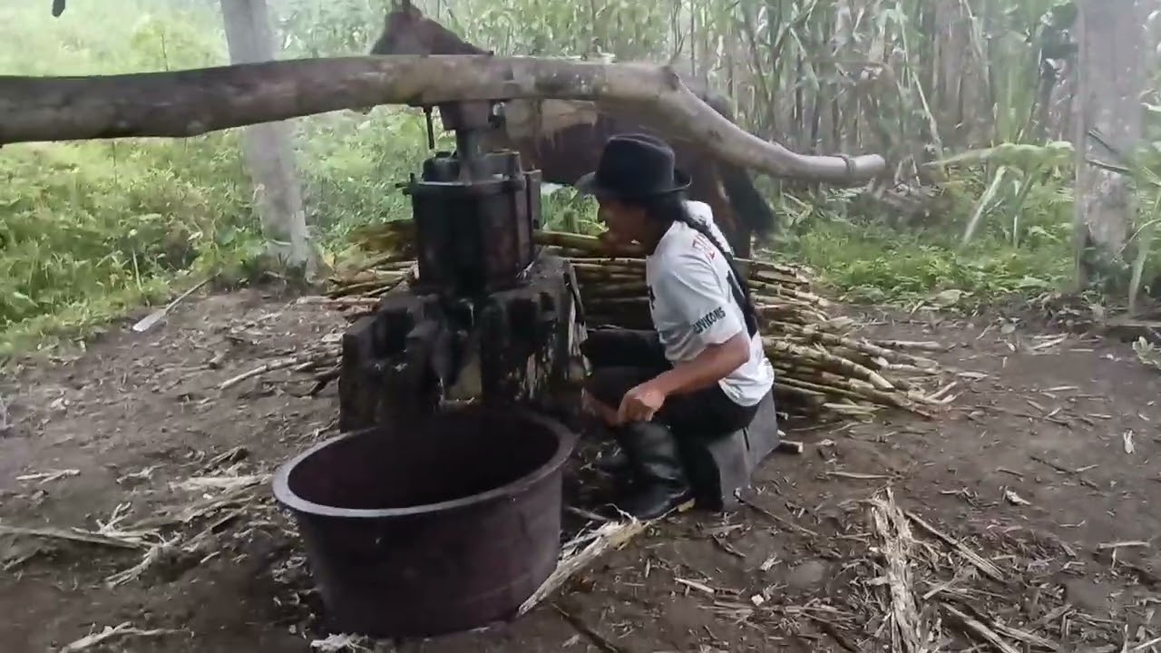 Amigos así es como asemos panela en el campo#campo  #cocina 