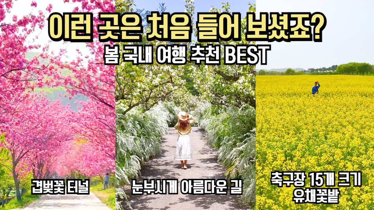 국내 여행 추천 놓치면 후회할 새로운 4월 봄 여행 명소 BEST 7