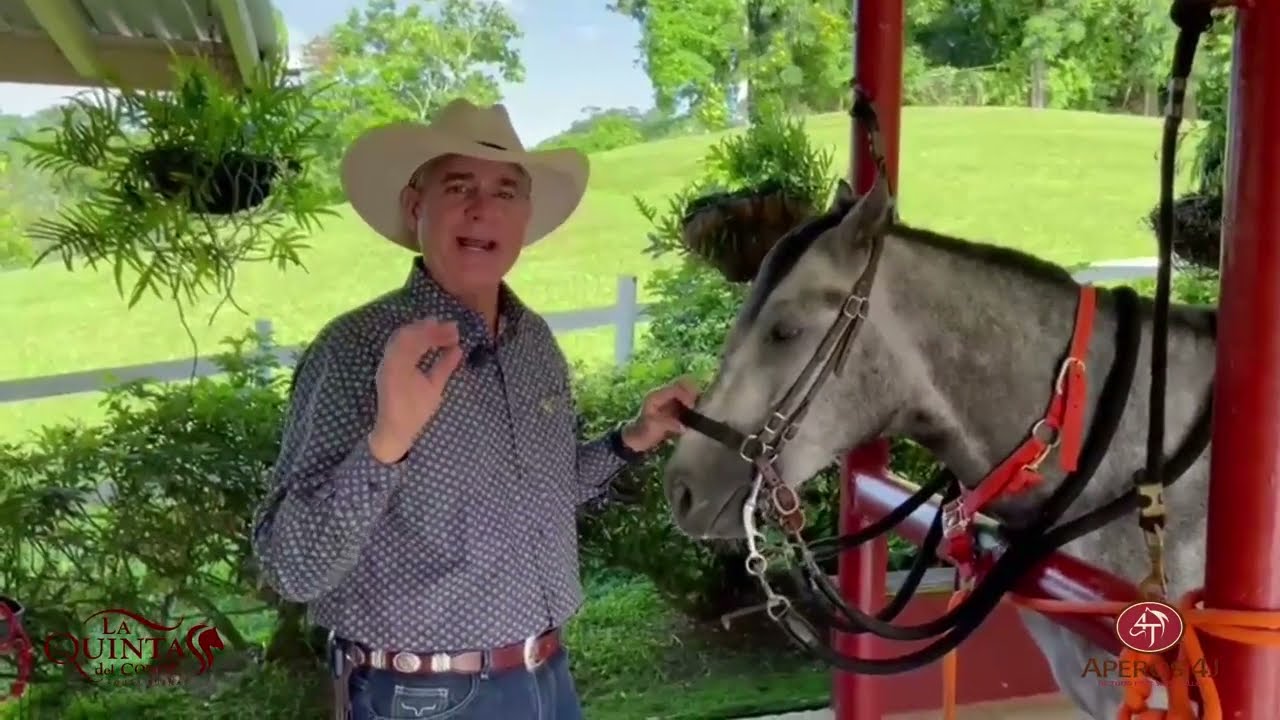 Resoplos desde la Quinta (Colocacion correcta del bocao entre la barbada de la jaquima)