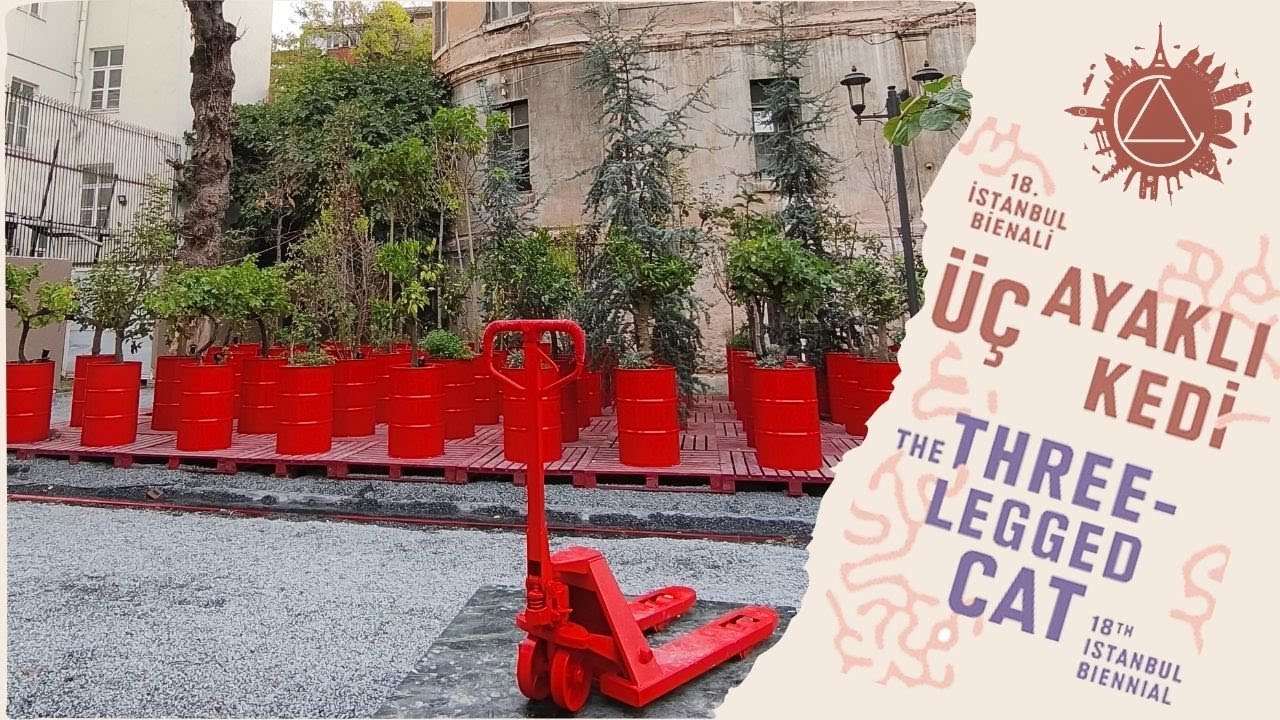 18. İstanbul Bienali | Üç Ayaklı Kedi - B2 - Eski Fransız Yetimhanesi Bahçesi, Elhamra Han