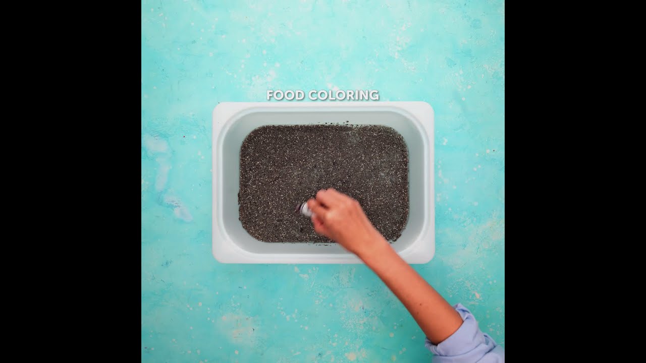 🎨 Fun DIY Projects to Entertain All Day! 🌟