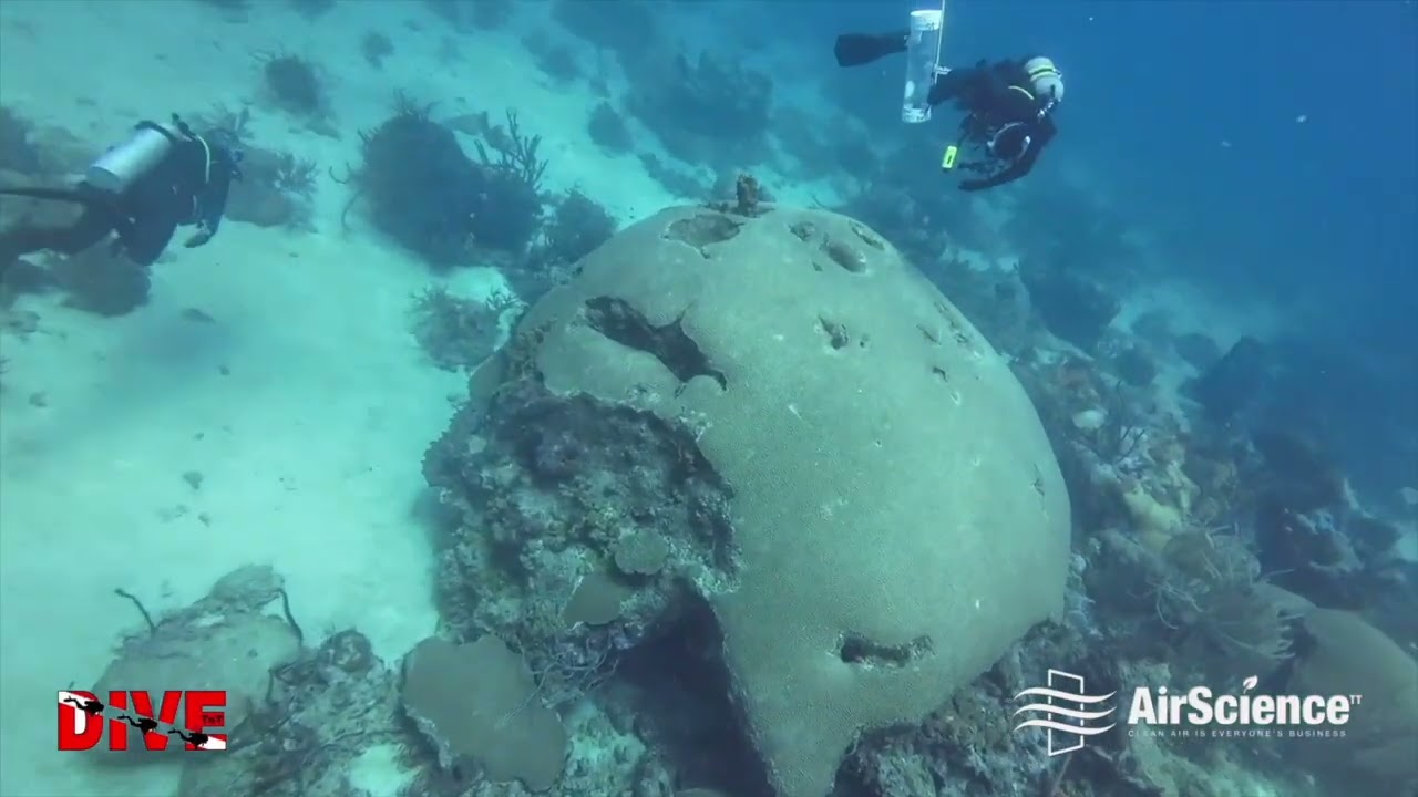 Rainforest to Reefs Tobago Biosphere Dr Baboolal