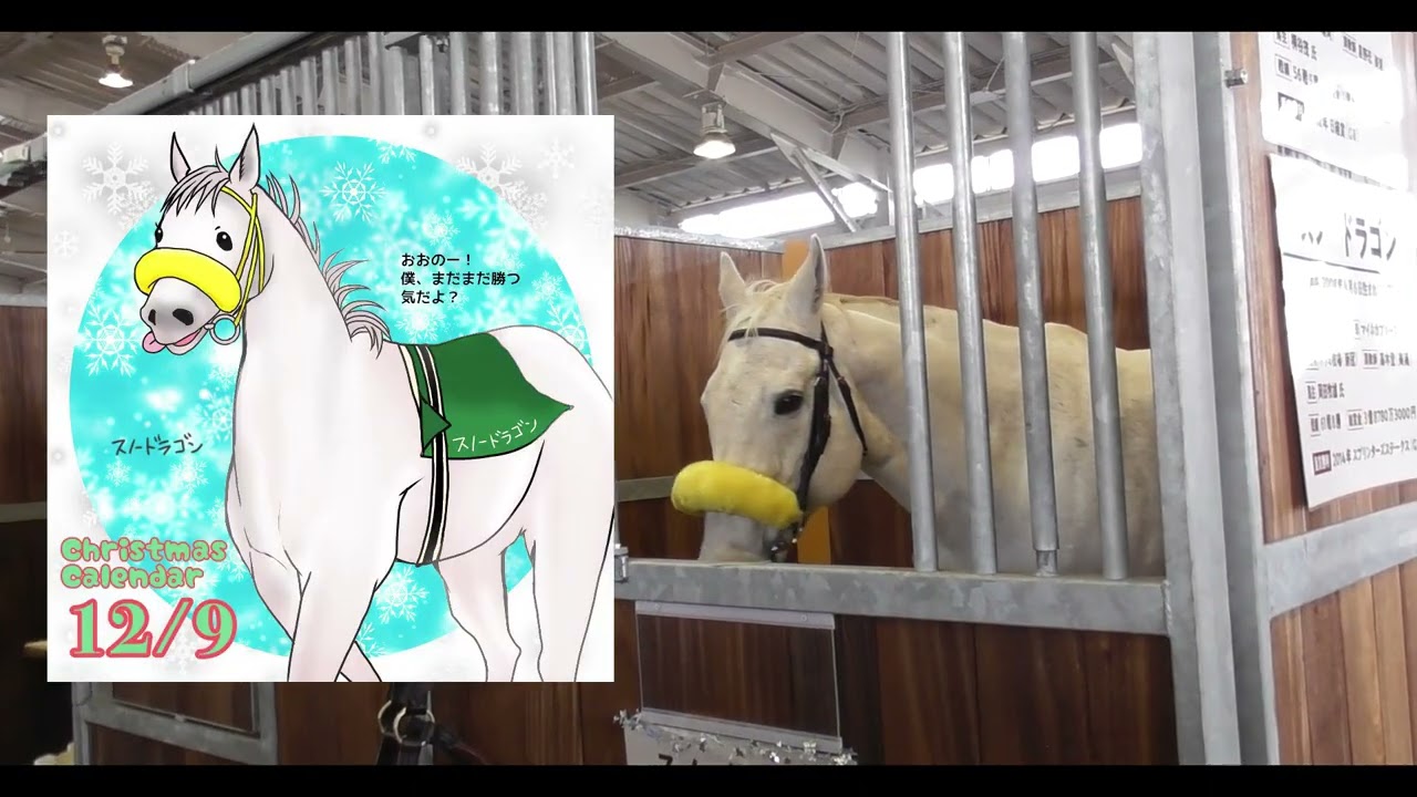 スノードラゴンに会えた！【短編】