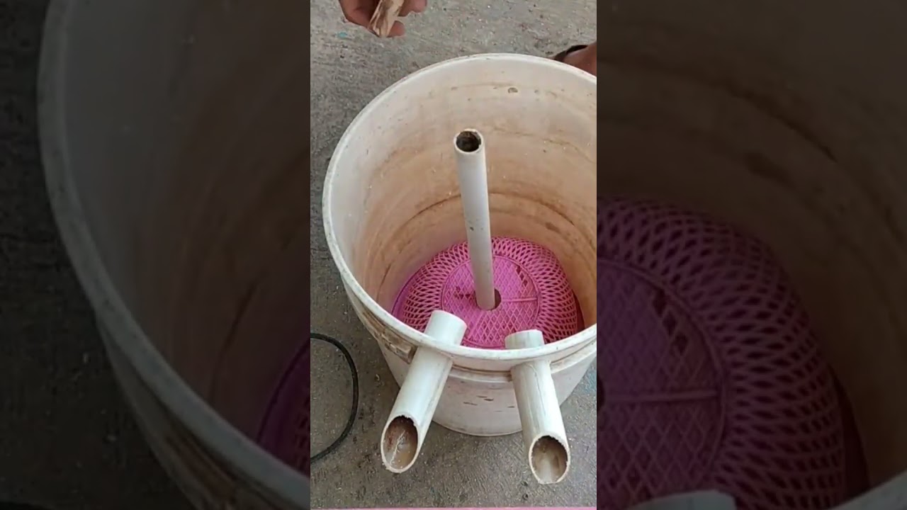 Membuat filter kolam dari ember bekas #filterkolam #tutorial #shorts