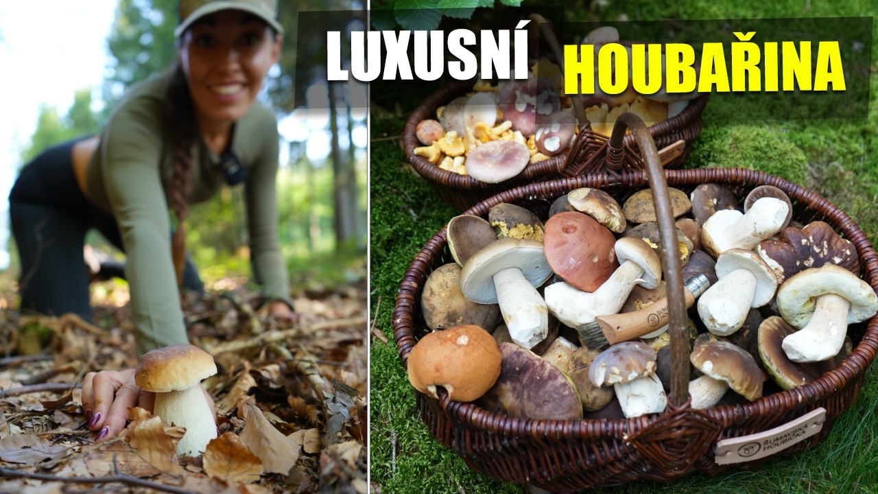 NÁDHERNÉ HOUBY + NOVÁ LOKALITA na Šumavě