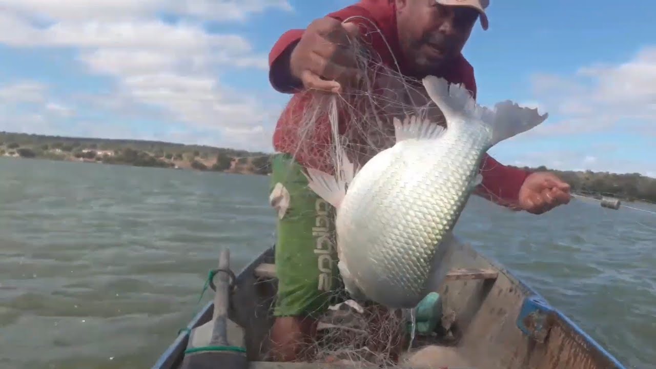 Pescando no rio são Francisco, a menor malha que pesco