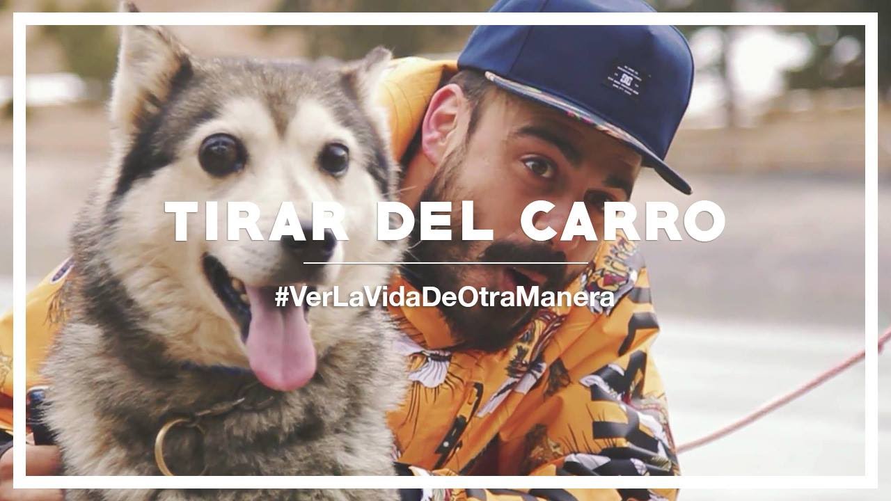 Tirar Del Carro