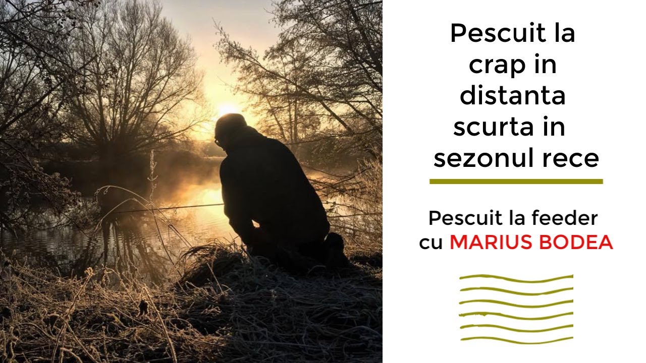 Pescuit la crap in distanta scurta in sezonul rece