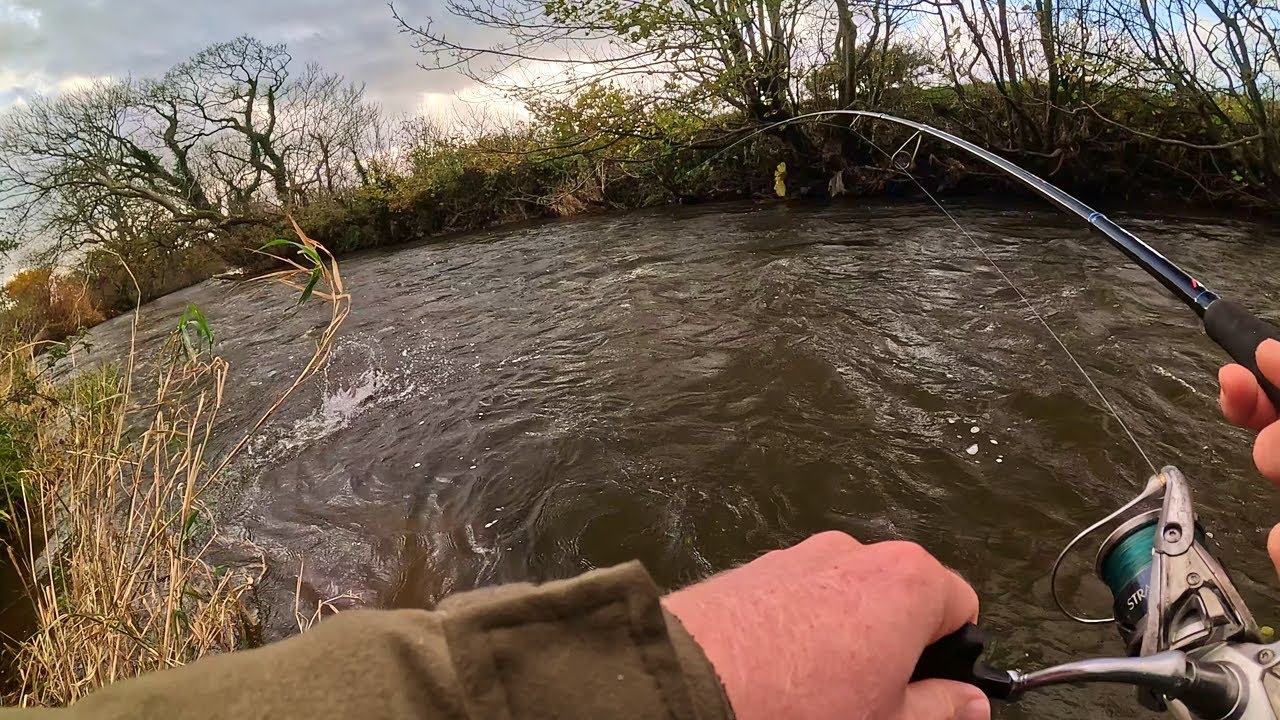 Spinning For Autumn 🍂 Salmon and Sea Trout, Brown Trout in Cumbria UK 🍁 UNDERWATER Footage Included🫧