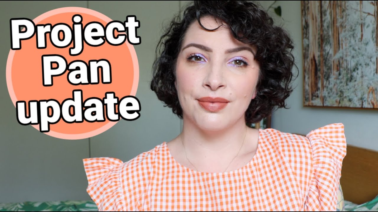 Project Pan - Feb update 2026