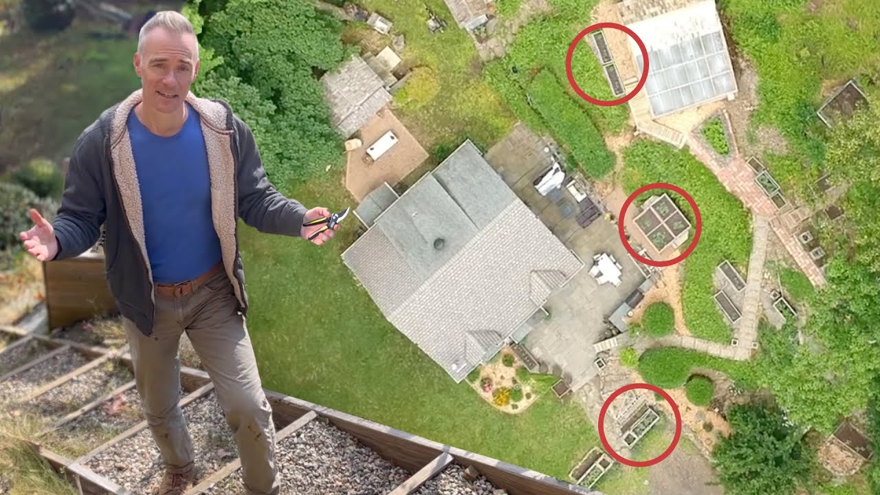 The One Survival Veggie I Would Grow Every Year!