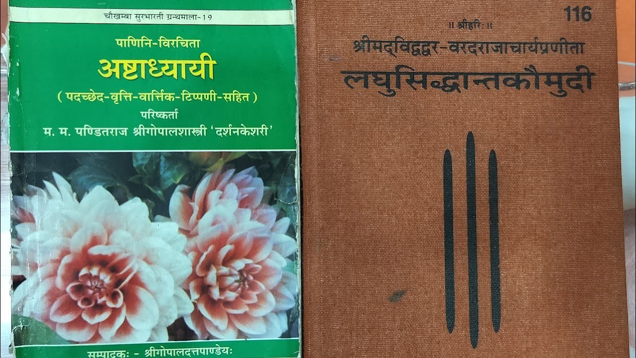 273. लघुसिद्धान्तकौमुदी -  अथ स्त्रीप्रत्ययाःस्वामी दिनेशानन्द गिरि द्वारा
