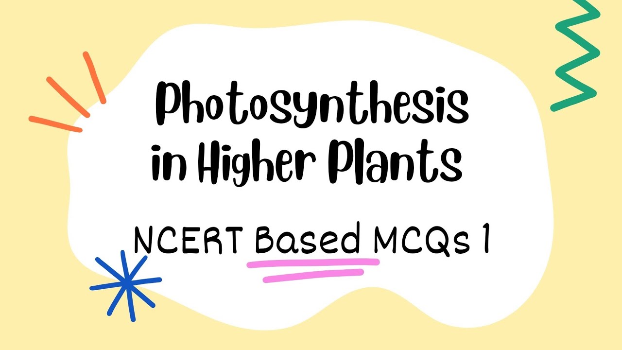 Photosynthesis in Higher Plants NCERT Based MCQs (Part 1) | Class 11 NEET Biology