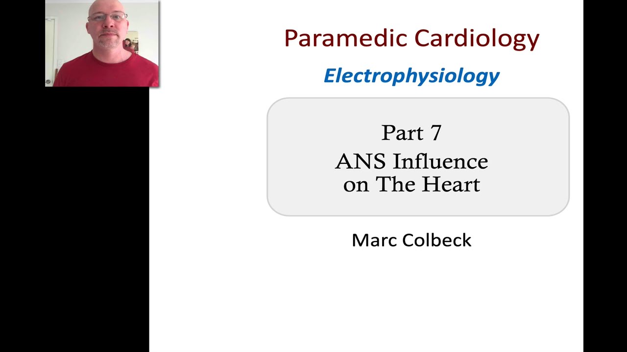 Cardiovascular Electrophysiology 7 - ANS Influence on the Heart