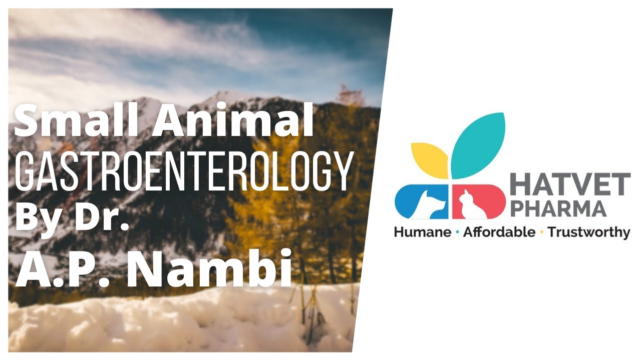 Hatvet's Webinar On Small Animal Gastroenterology By Dr. A.P. Nambi - Part 1