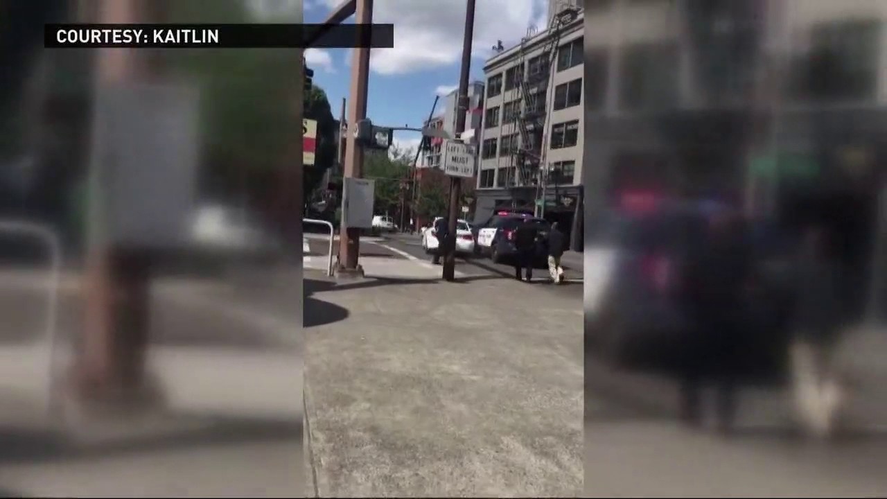 Driver rams police cars, then takes off