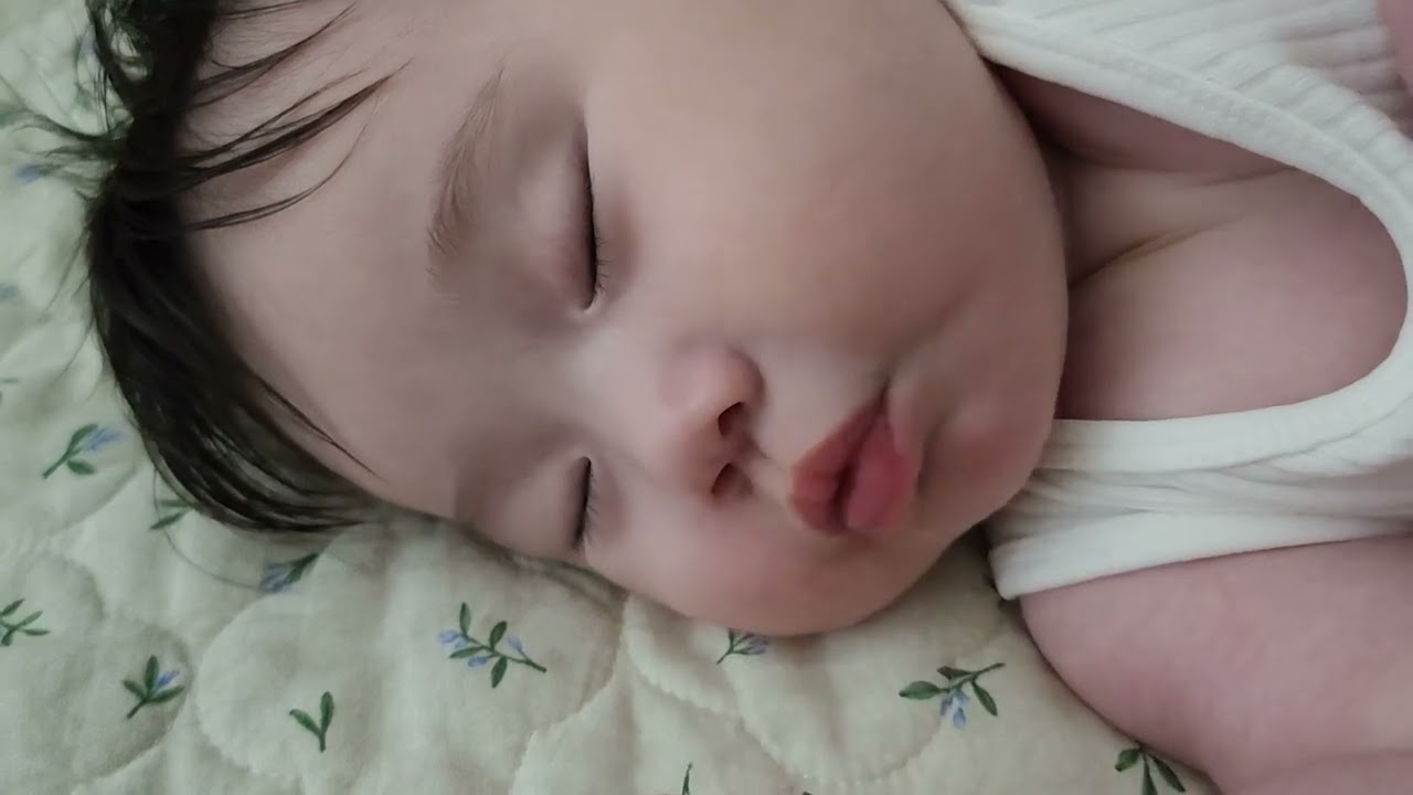 인생178일차 졸린데자기싫다 #아기 #baby #cute #cutebaby #육아일기 #딸키우기 #기분좋아지는영상 #6개월아기 #육아 #육아브이로그 #강아지