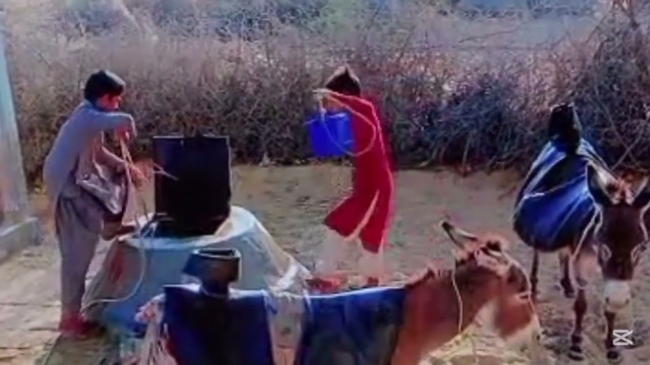 Water lifestyle of Thar Desert people | How fill water bucket on weak donkey | Viral boy