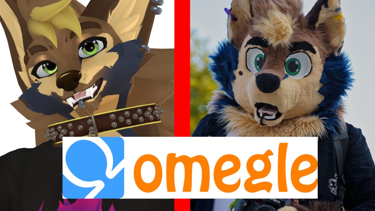 Why I left FURRY OMEGLE...