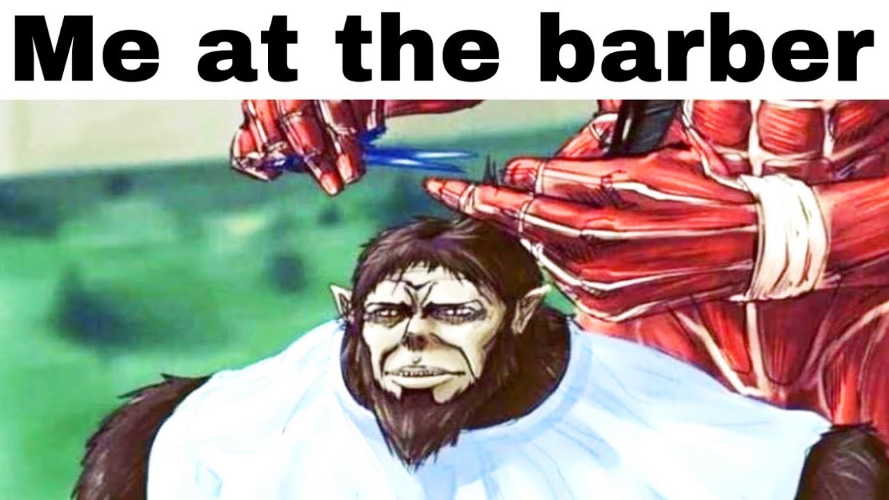 ATTACK ON TITAN MEMES 7