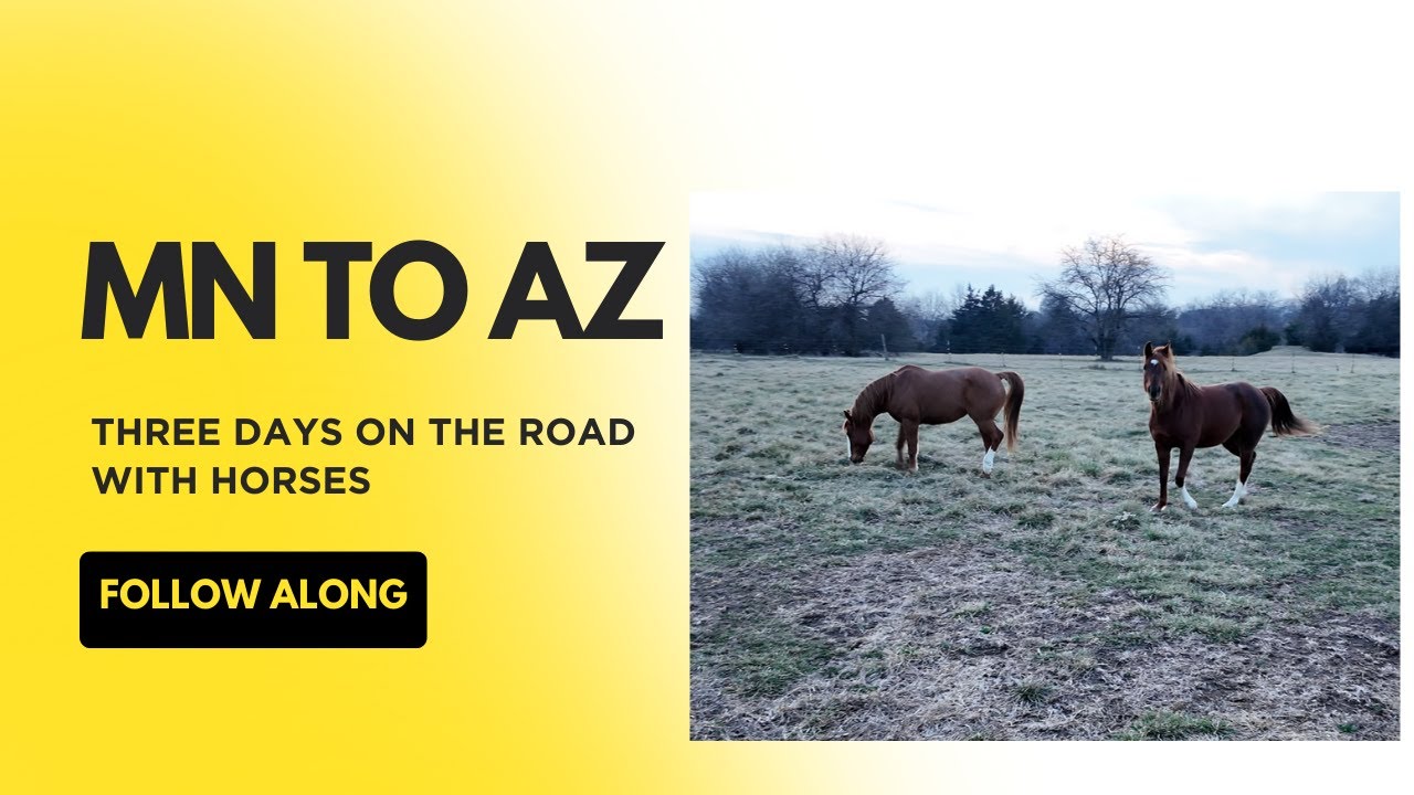 MN to AZ: Three Days on the road with horses