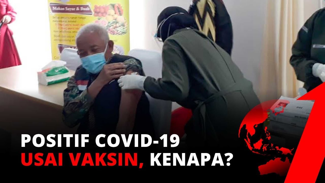 Positif Corona Usai Vaksin, Kenapa? | Laporan Utama (29/1/2021)