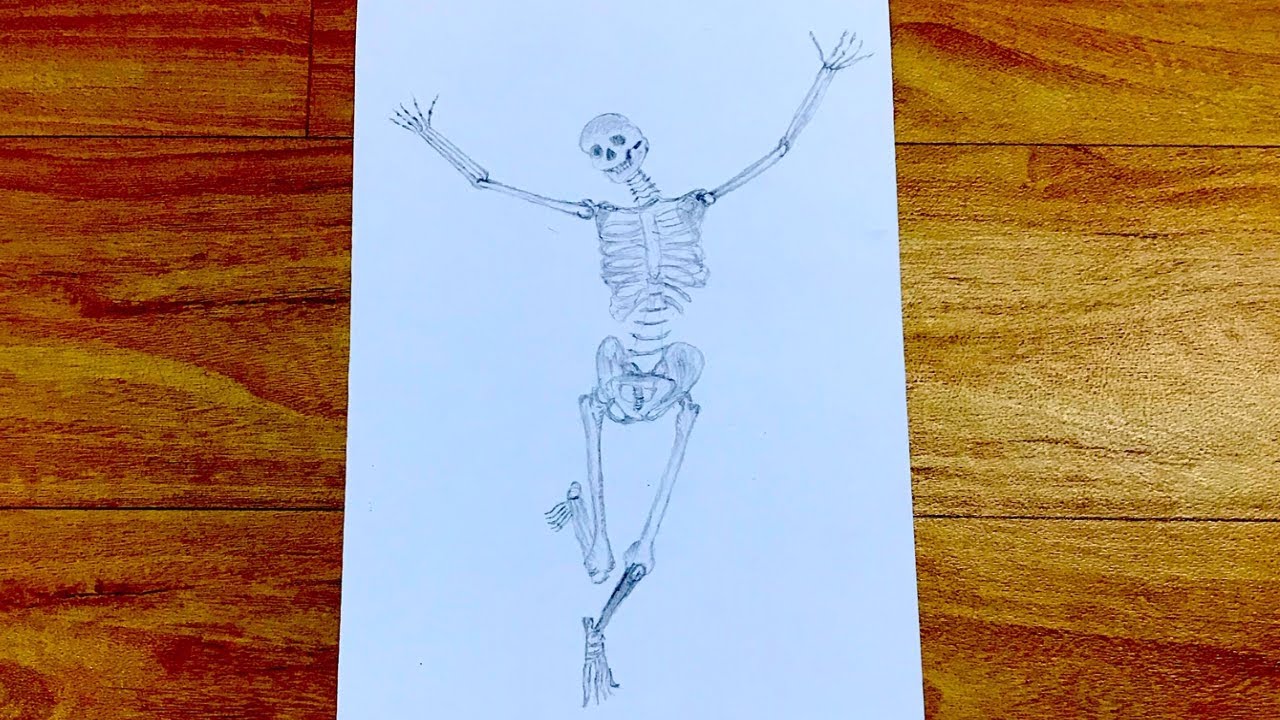How to draw a skeleton for beginners skeleton sketch draw session