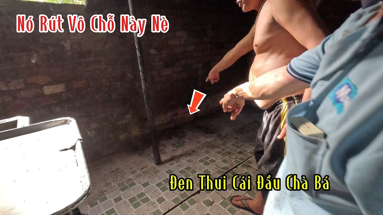 Nghe Anh Thợ Làm Bánh Nó Từ Đó Giờ Chưa Thấy Con Rắn Nào Bự Mà Đen Thui Như Con Rắn Này | MTSB