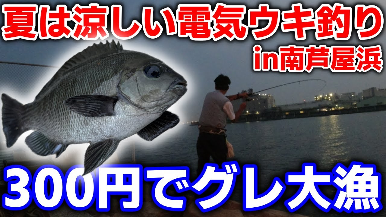 【南芦屋浜】餌代300円コスパ最強の釣り！グレの電気ウキ釣りで手堅く晩御飯を確保しよう！
