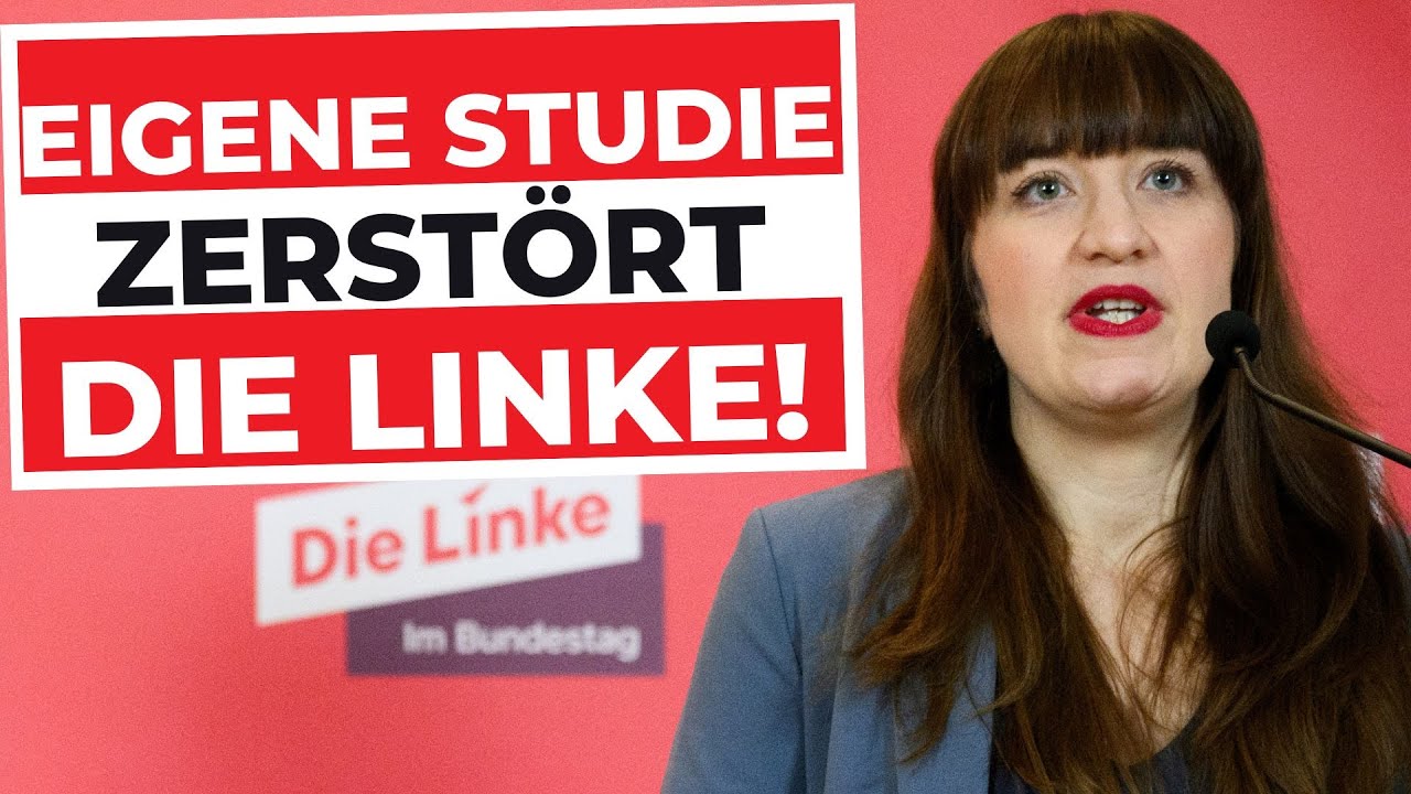 LINKE IM SCHOCK-ZUSTAND: Eigene Studie widerlegt alles! (Vermögenssteuer-Studie von DIW)