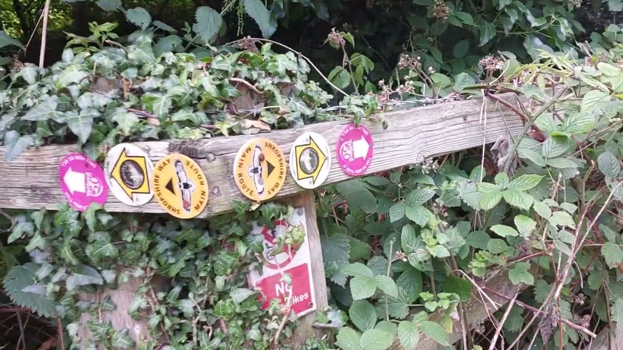 Telford T50 50 Mile Trail