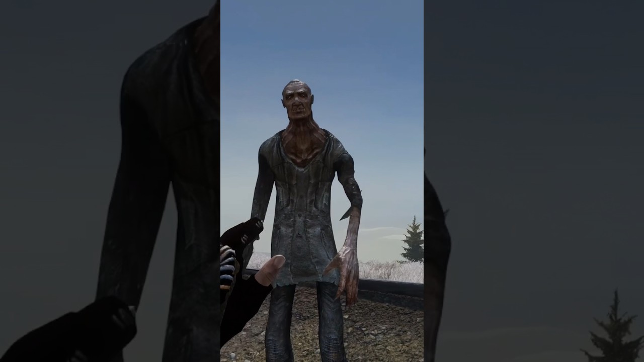 как пройти в библиотеку? южный юг. хроники. #dayz #неудержимые #namalsk #anomalsk